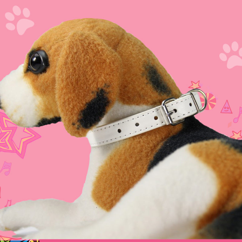 Large dog leash pet collar Petzymart