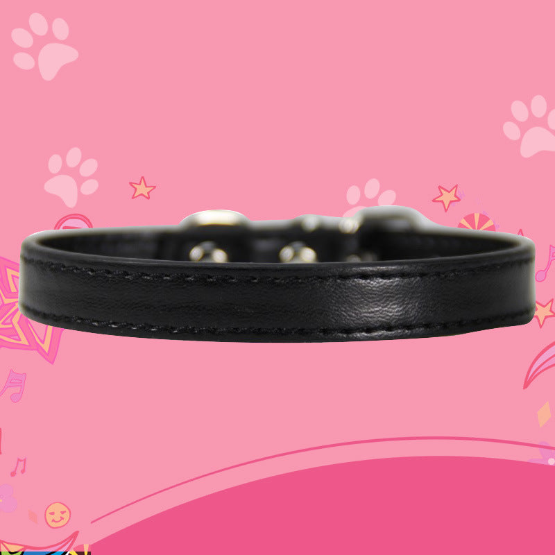 Large dog leash pet collar Petzymart