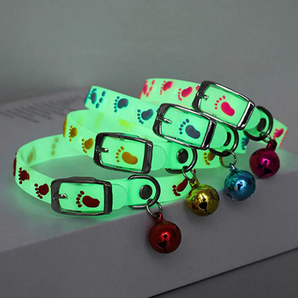 Luminous Cat Necklace Glowing Small Dog & Cat Collar Petzymart