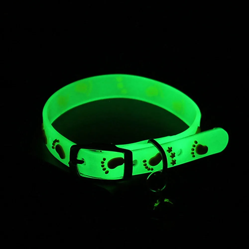 Luminous Cat Necklace Glowing Small Dog & Cat Collar Petzymart