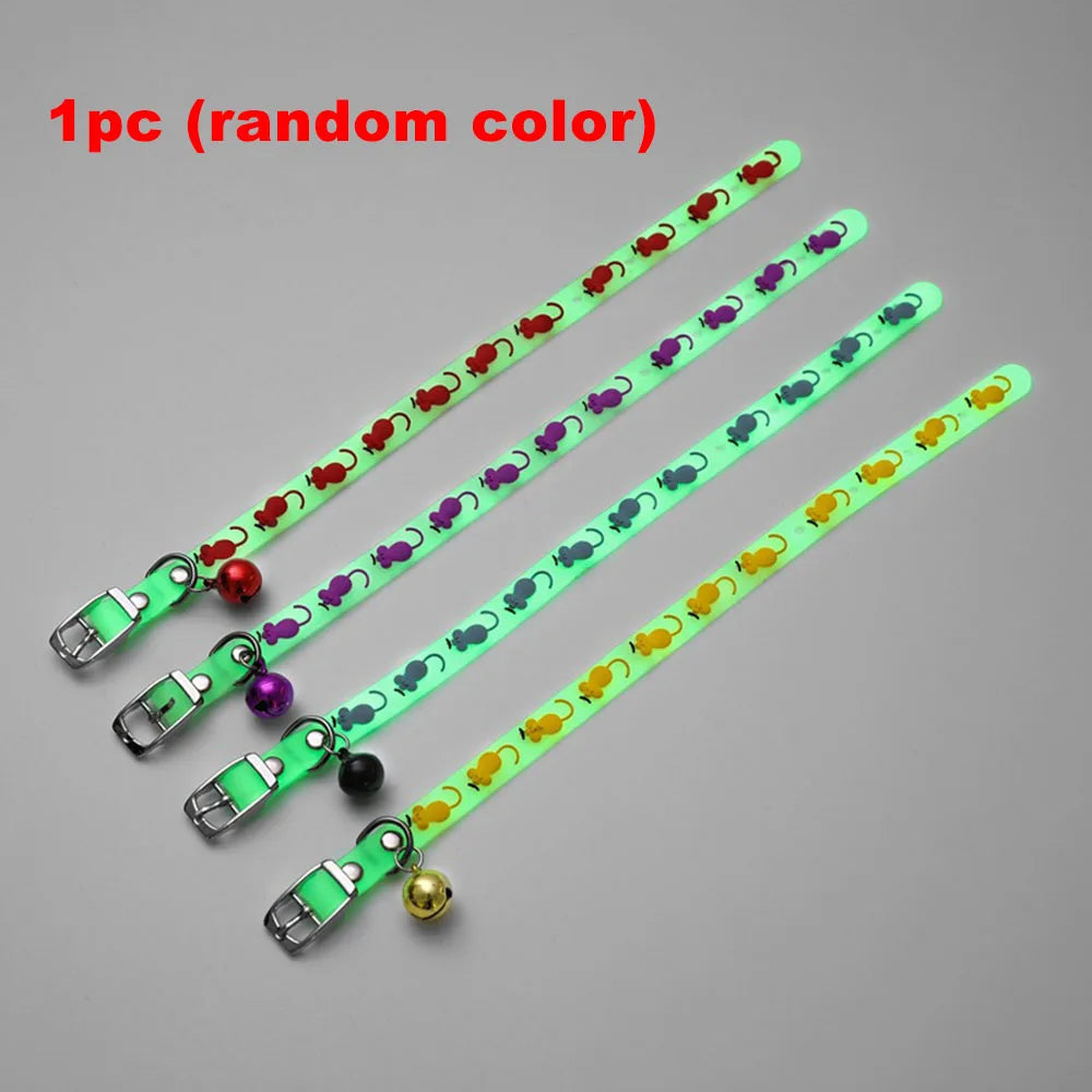 Luminous Cat Necklace Glowing Small Dog & Cat Collar Petzymart