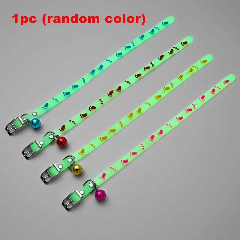 Luminous Cat Necklace Glowing Small Dog & Cat Collar Petzymart