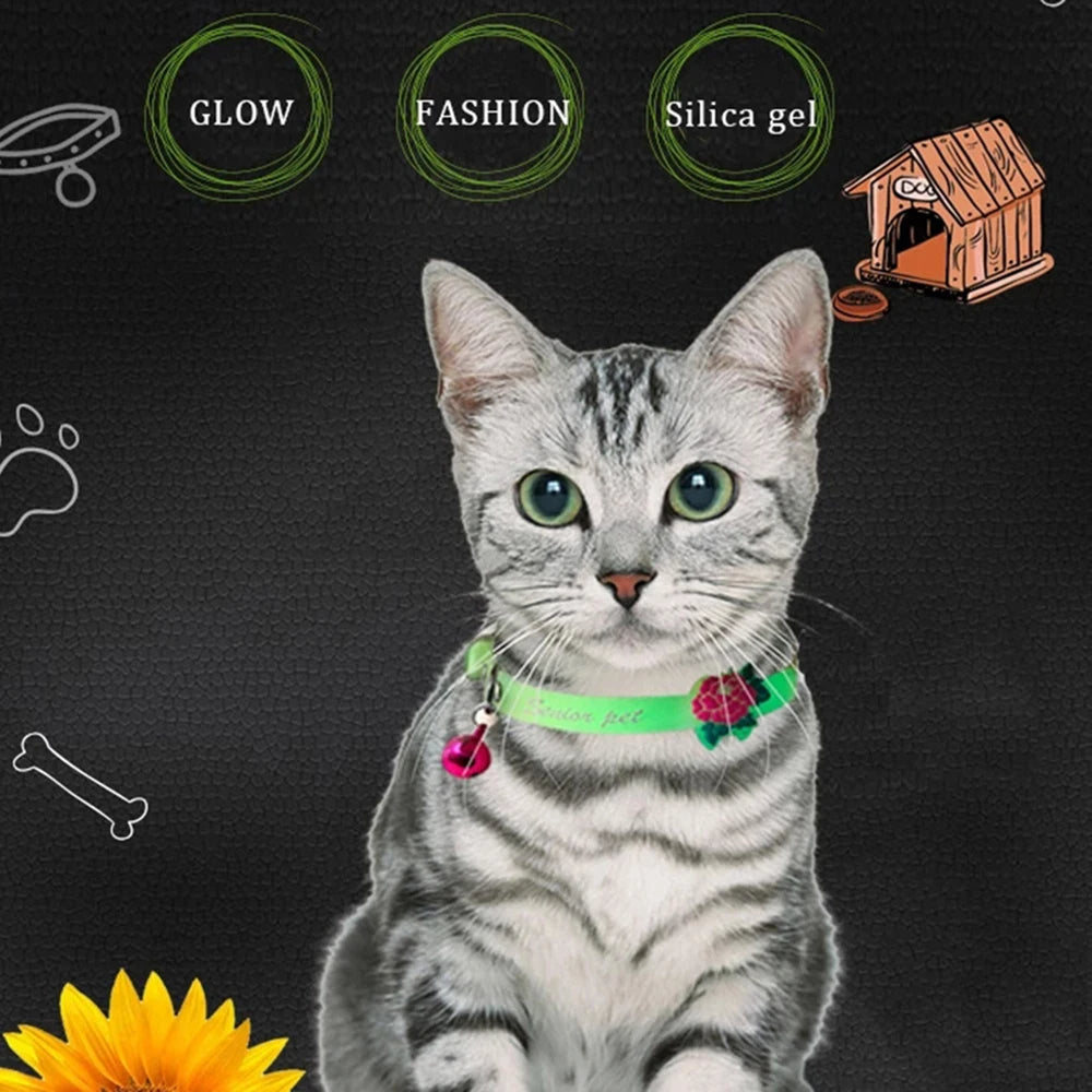 Luminous Cat Necklace Glowing Small Dog & Cat Collar Petzymart