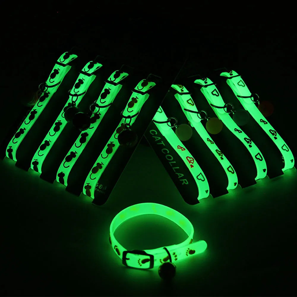 Luminous Cat Necklace Glowing Small Dog & Cat Collar Petzymart