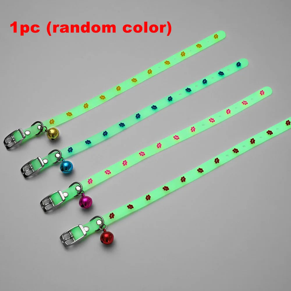 Luminous Cat Necklace Glowing Small Dog & Cat Collar Petzymart