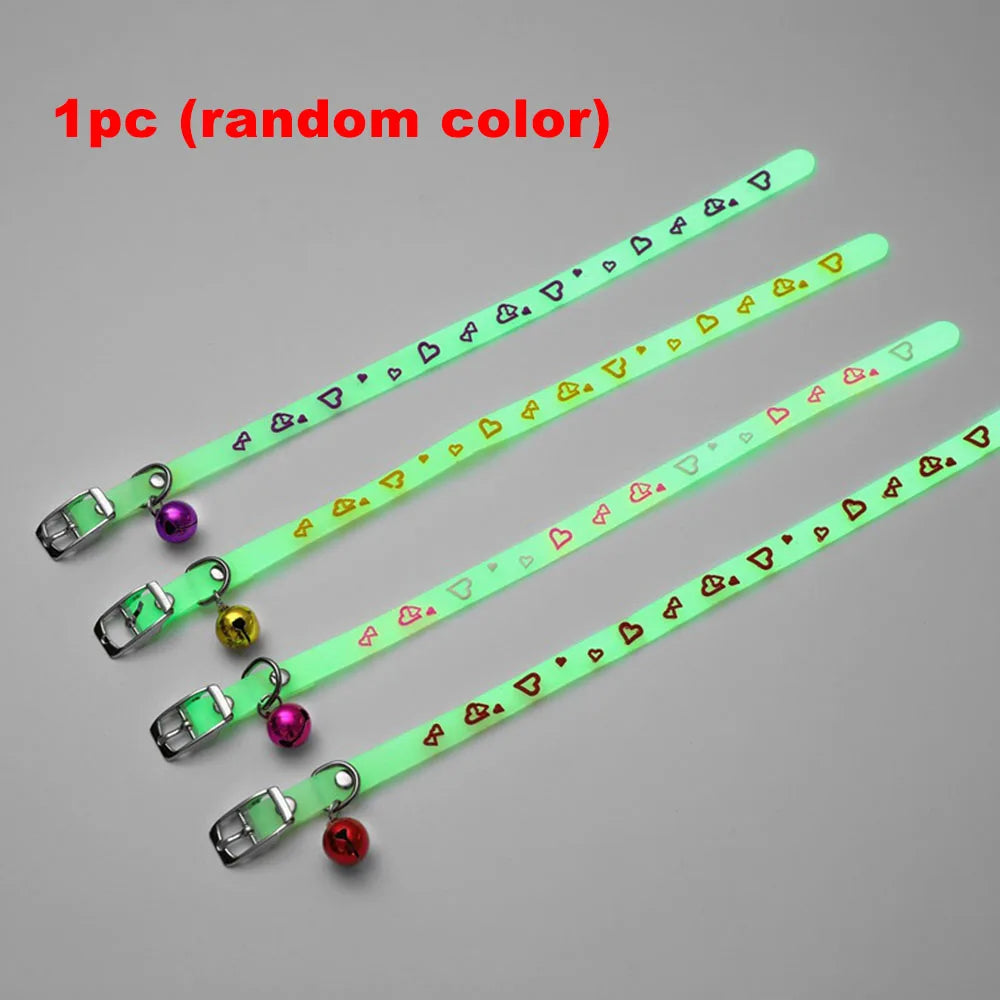 Luminous Cat Necklace Glowing Small Dog & Cat Collar Petzymart
