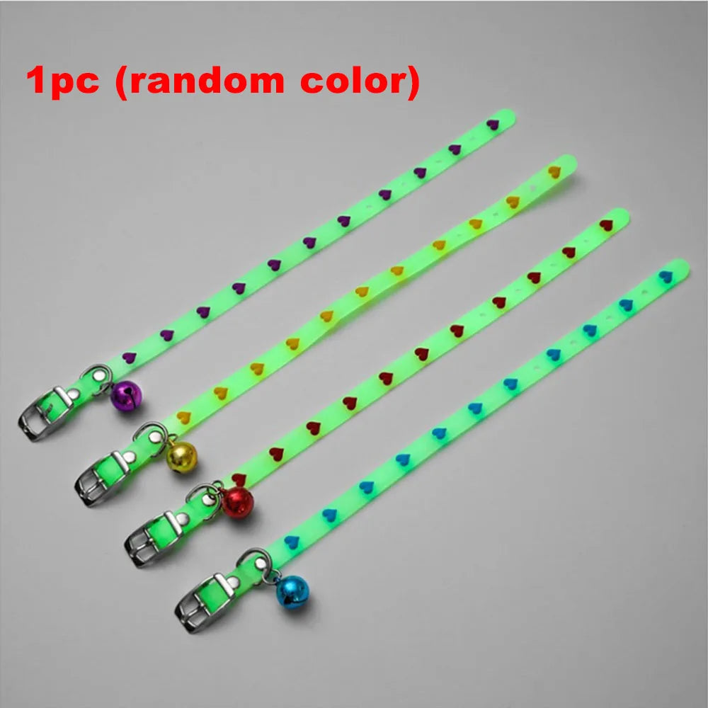 Luminous Cat Necklace Glowing Small Dog & Cat Collar Petzymart