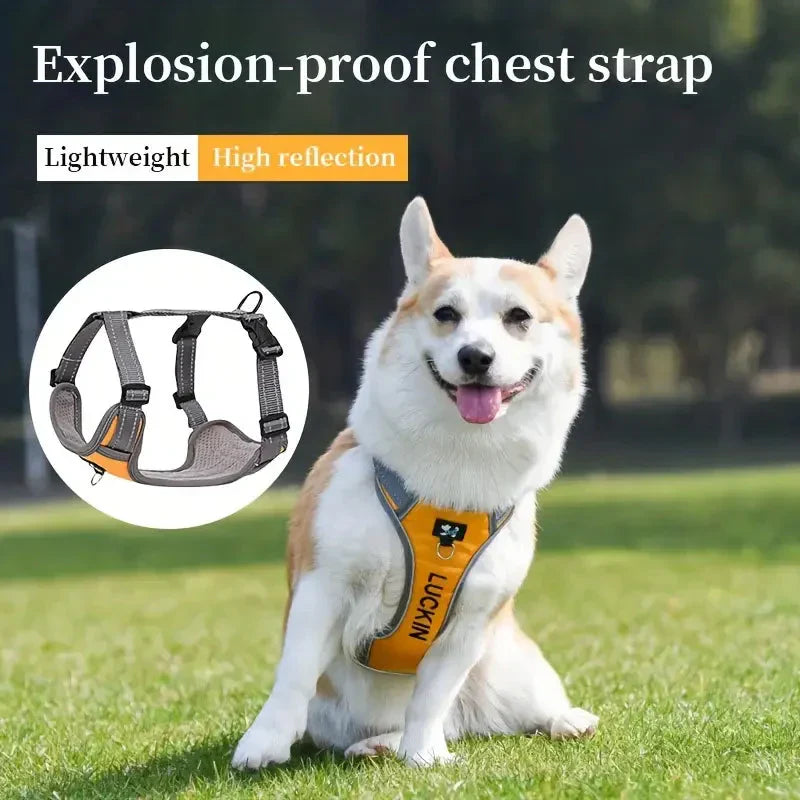 Personalized Reflective Dog Harness with Embroidered Name - Adjustable and Soft for Comfort and Safety Petzymart