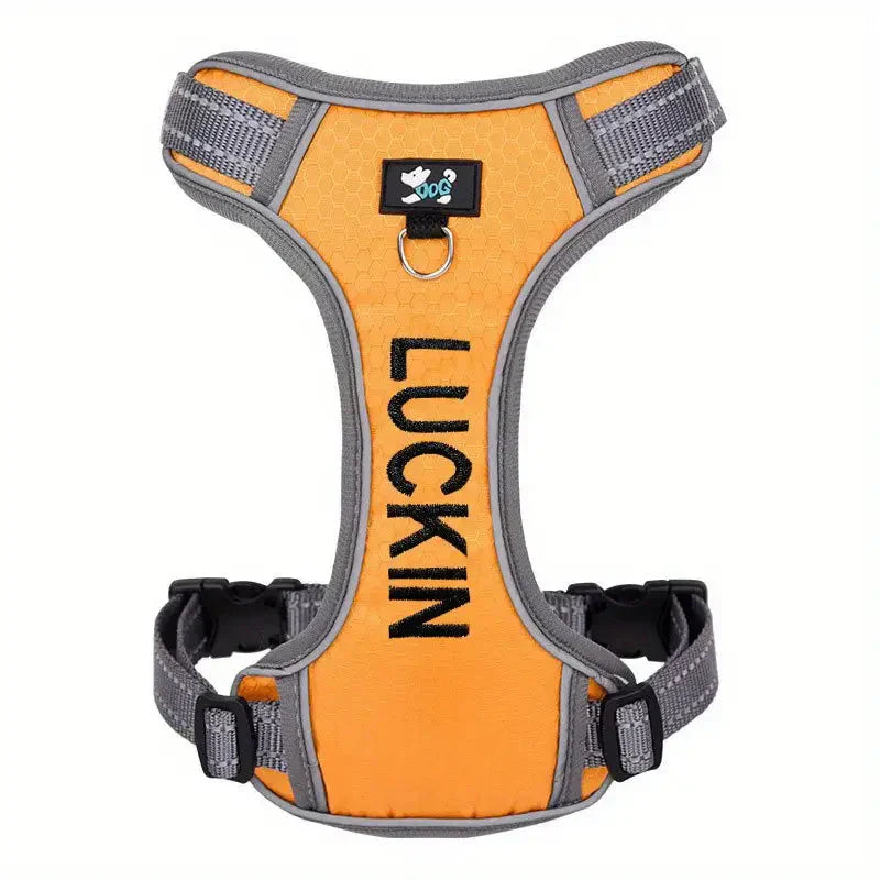 Personalized Reflective Dog Harness with Embroidered Name - Adjustable and Soft for Comfort and Safety Petzymart