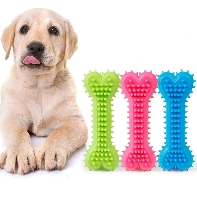 Pet Chew Toy Soft Rubber Bite-resistance Bone Shape Petzymart