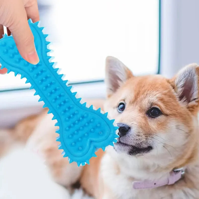 Pet Chew Toy Soft Rubber Bite-resistance Bone Shape Petzymart