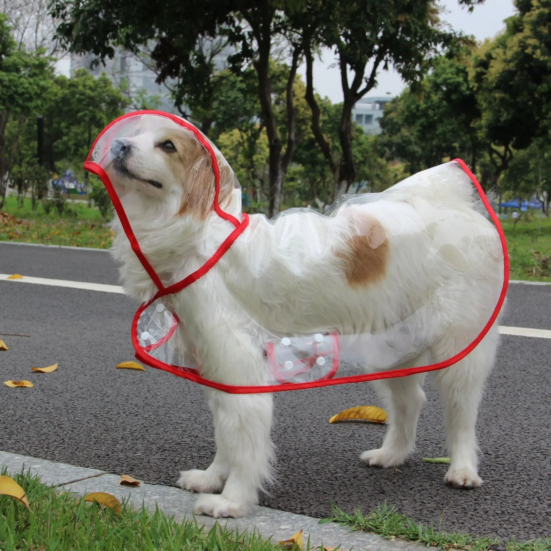 Pet Dog Puppy Transparent Rainwear Raincoat Petzymart