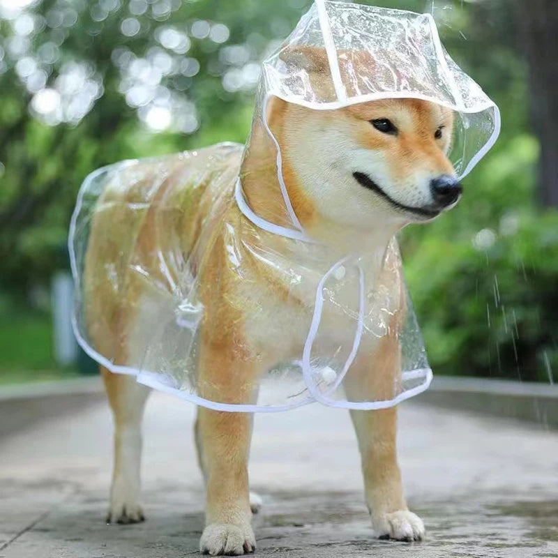 Pet Dog Puppy Transparent Rainwear Raincoat Petzymart