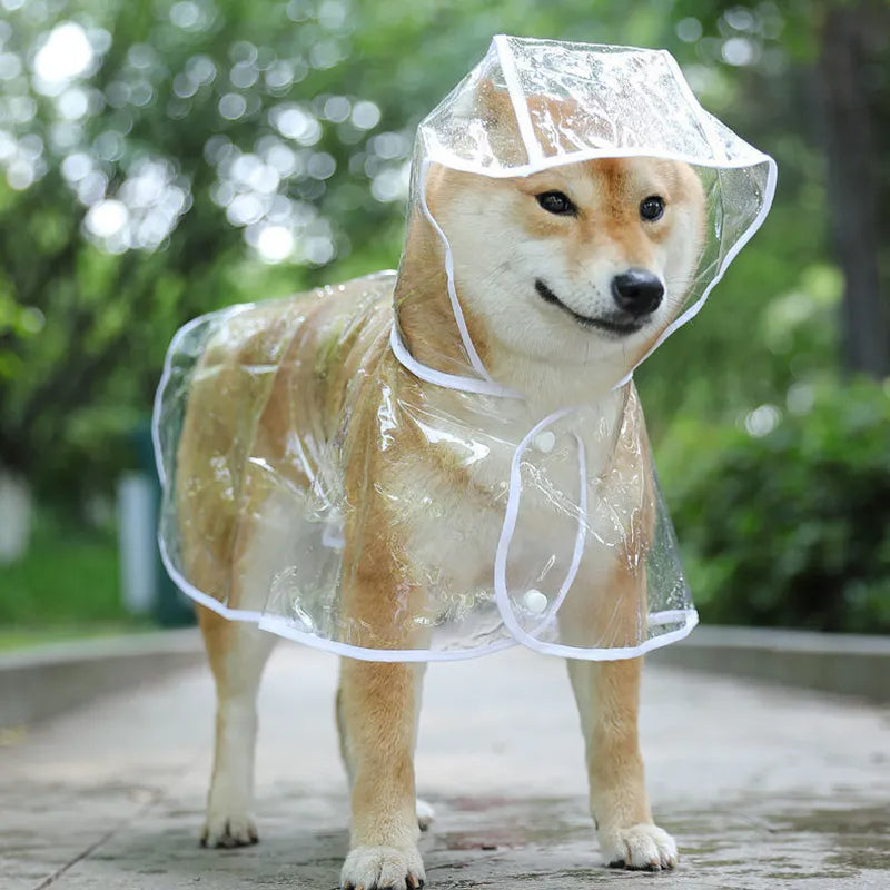 Pet Dog Puppy Transparent Rainwear Raincoat Petzymart