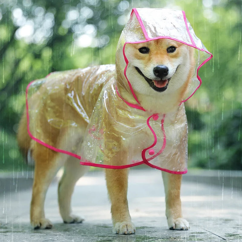 Pet Dog Puppy Transparent Rainwear Raincoat Petzymart