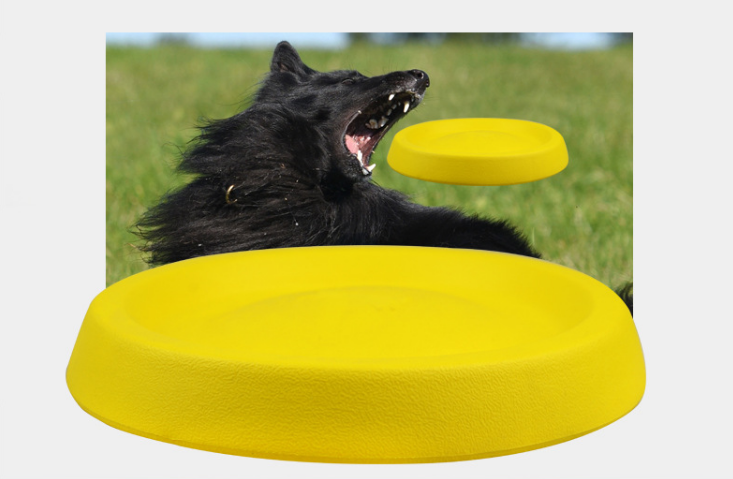 Pet Dogs Throwing Plastic Toys Petzymart