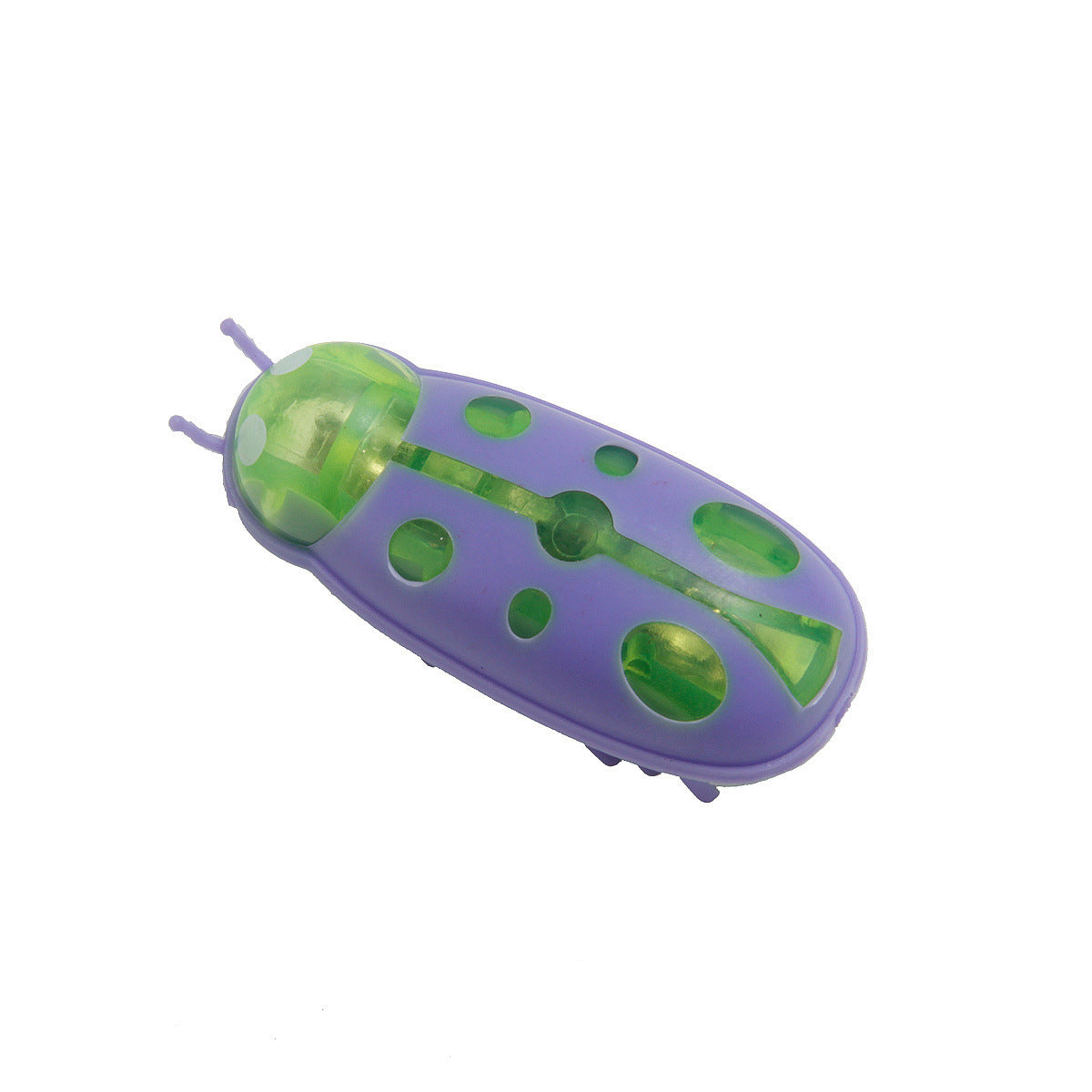 Pet Electronic Bug Dogs And Cats Toy Petzymart