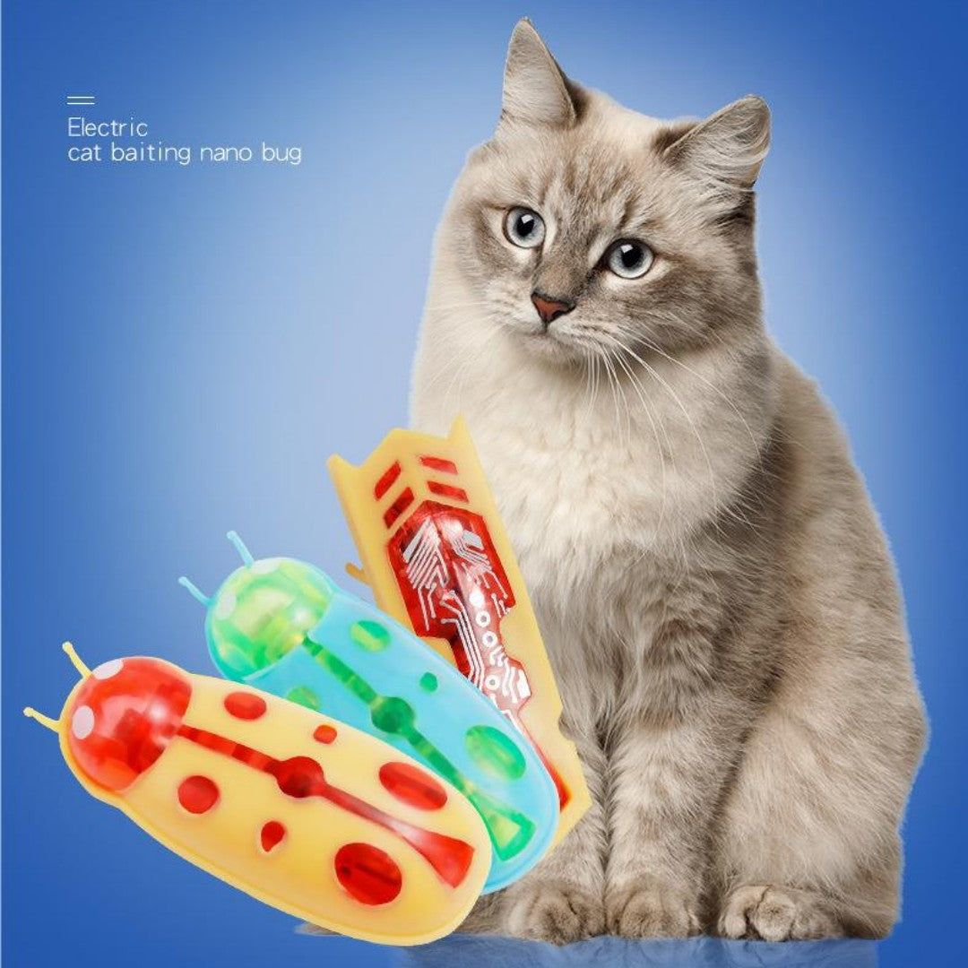 Pet Electronic Bug Dogs And Cats Toy Petzymart