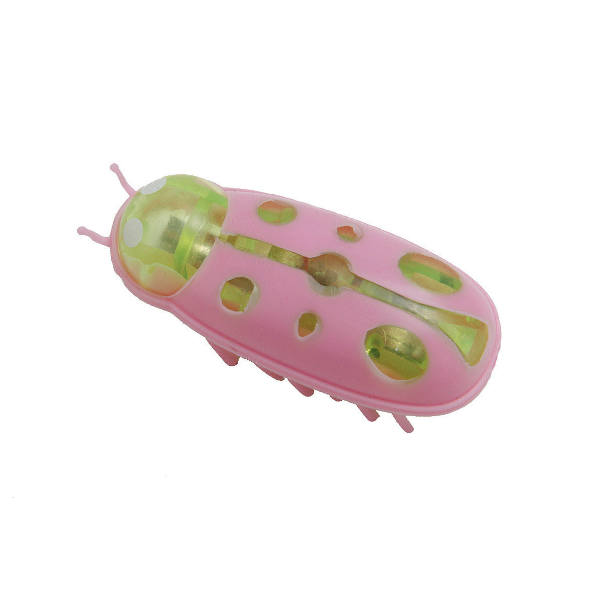 Pet Electronic Bug Dogs And Cats Toy Petzymart