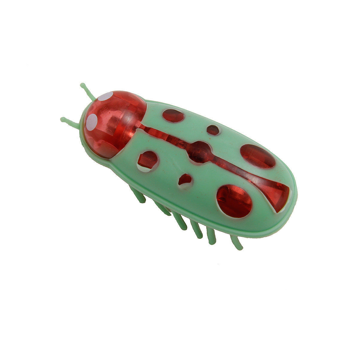 Pet Electronic Bug Dogs And Cats Toy Petzymart