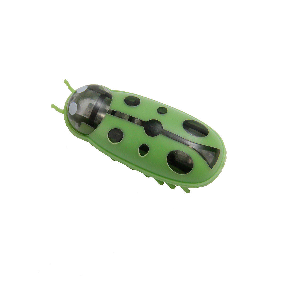 Pet Electronic Bug Dogs And Cats Toy Petzymart