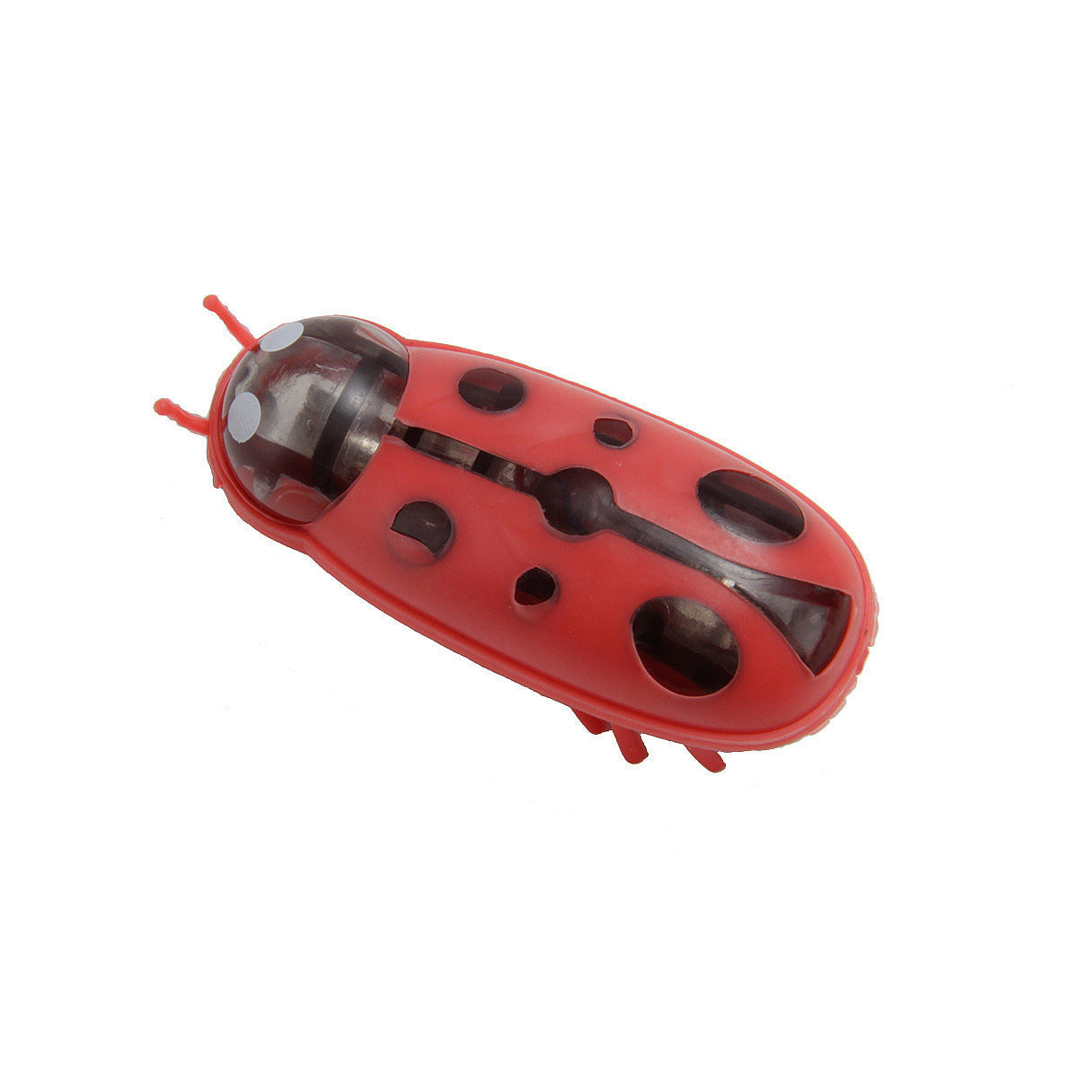 Pet Electronic Bug Dogs And Cats Toy Petzymart