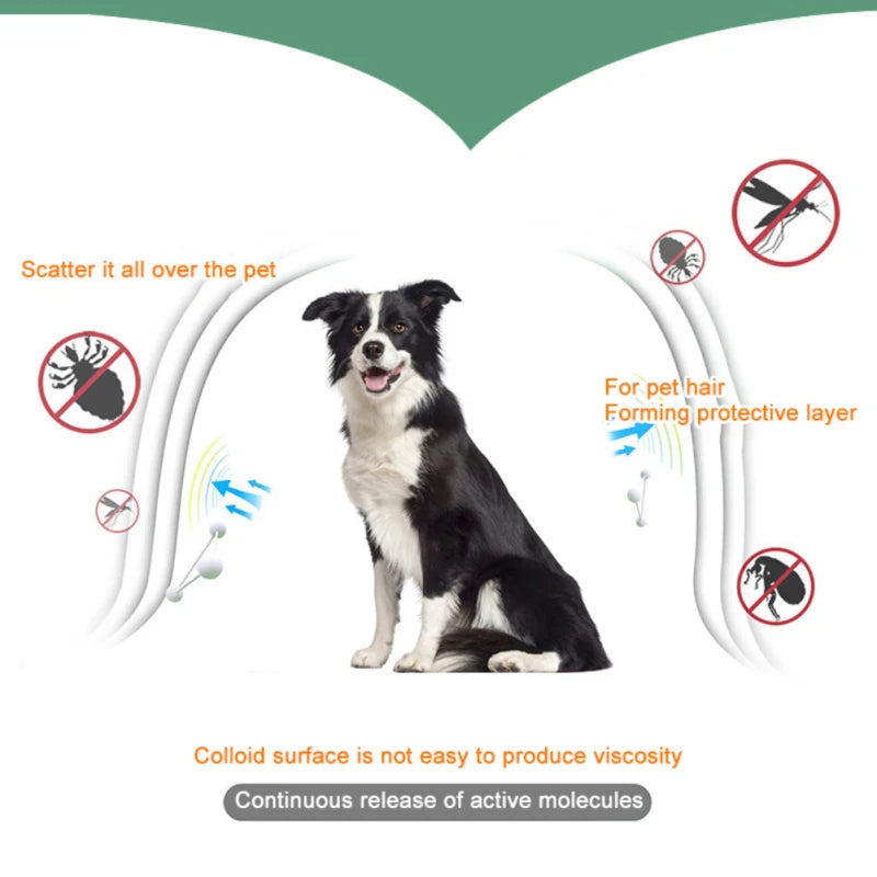 Pet Flea and Tick Collar for Dogs & Cats Petzymart
