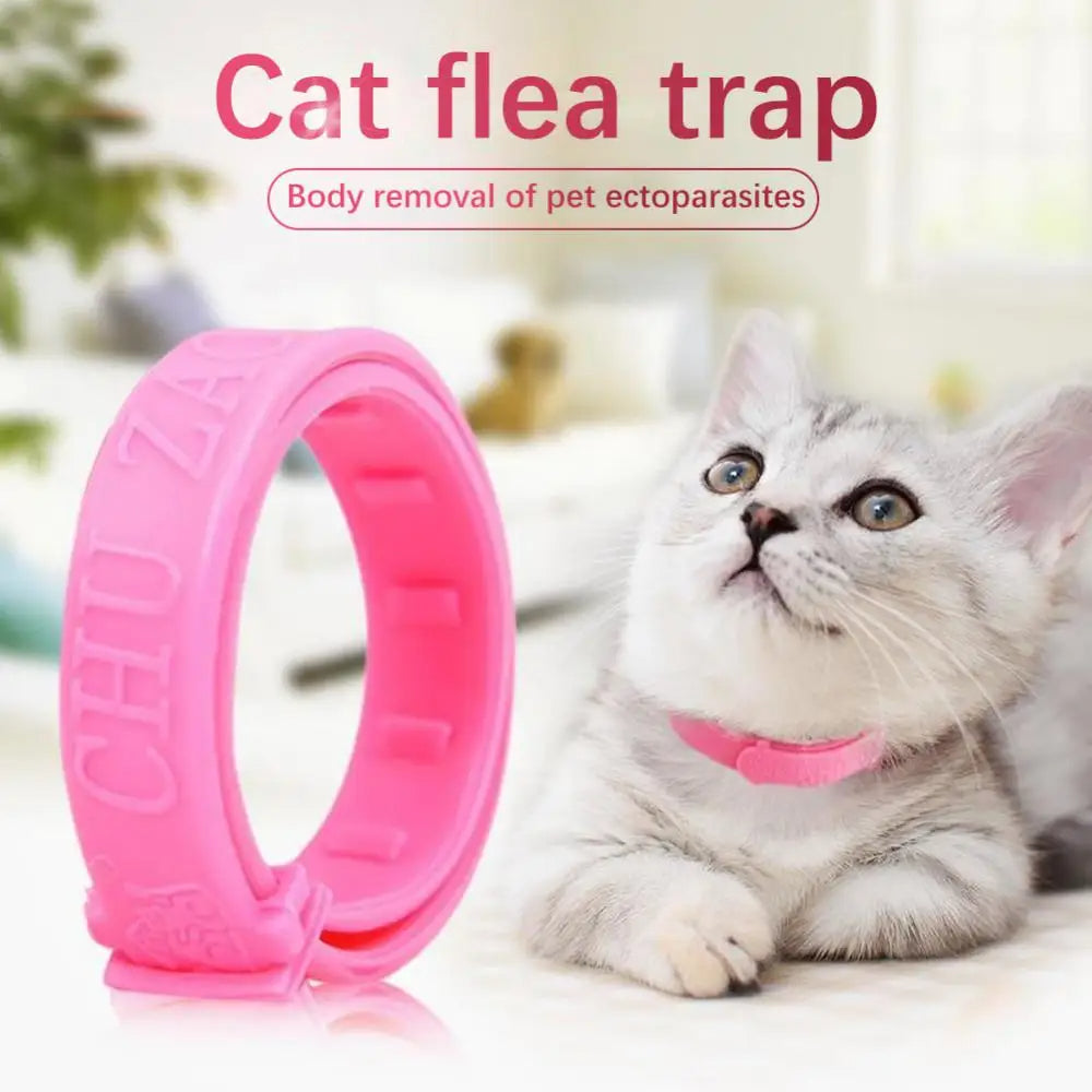 Pet Flea and Tick Collar for Dogs & Cats Petzymart