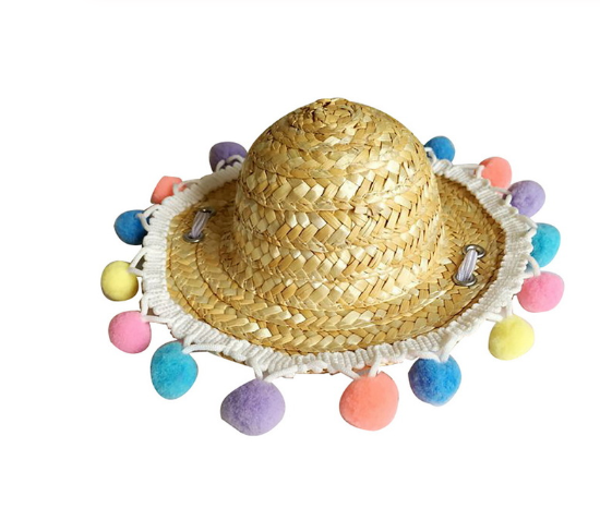 Pet Glasses  Cat Sunglasses  Pet Accessories Cat Glasses Petzymart