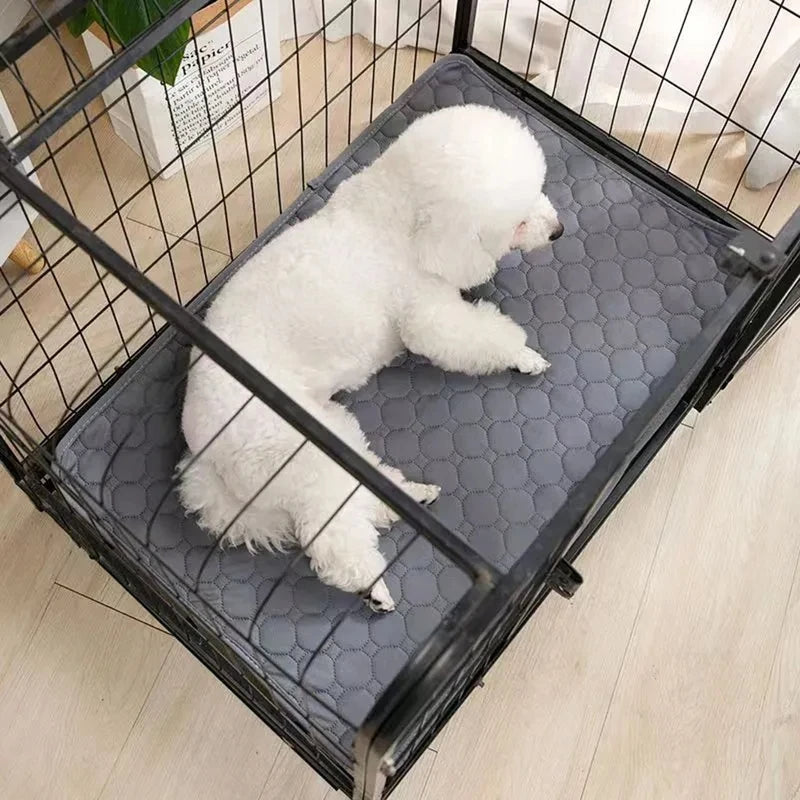 Pet Pee Pads Mat Washable Dog Urine Mat Reusable Petzymart