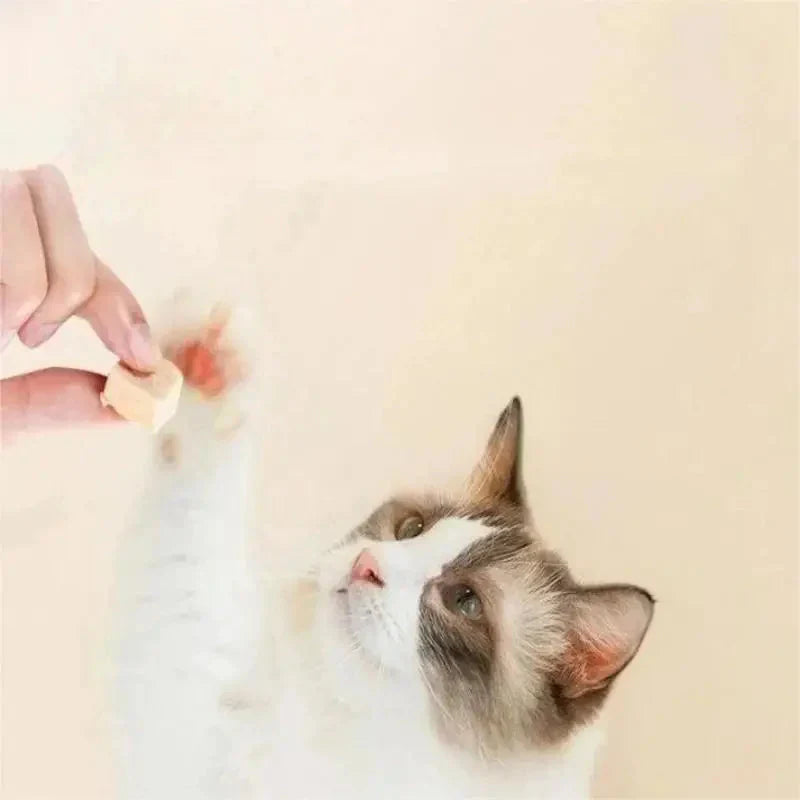 Pet Snacks, Cat Freeze-dried Snacks, Chicken Meat, High-quality Protein For Nutrition Absorption Petzymart