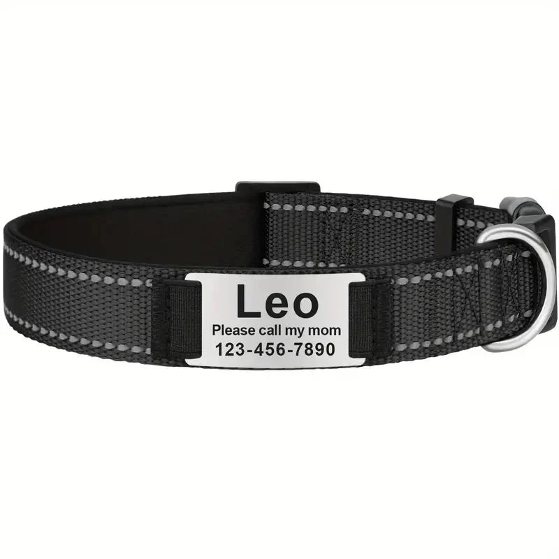 Reflective Personalized Dog Collar for Medium Dogs with Padded Comfort Petzymart