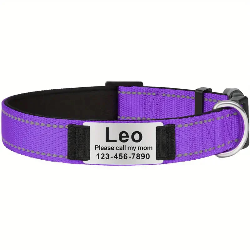 Reflective Personalized Dog Collar for Medium Dogs with Padded Comfort Petzymart
