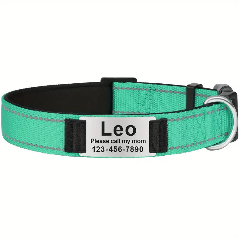 Reflective Personalized Dog Collar for Medium Dogs with Padded Comfort Petzymart
