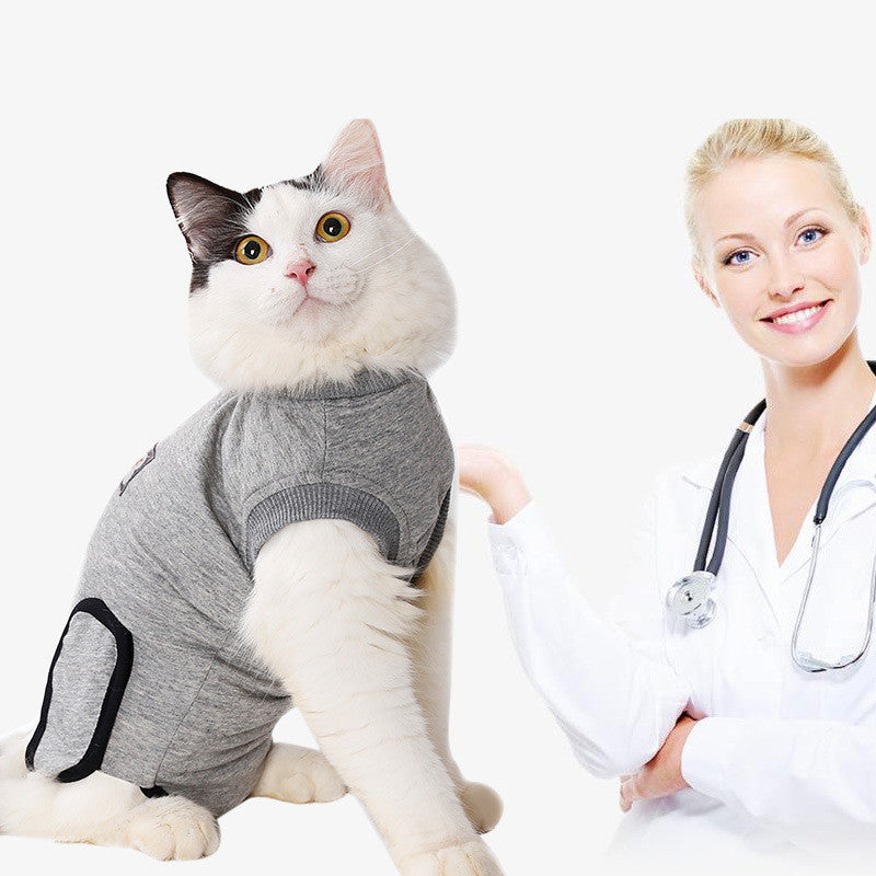 Restoring Clothes After Cat Sterilization Petzymart