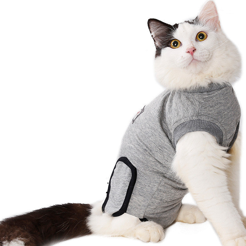 Restoring Clothes After Cat Sterilization Petzymart