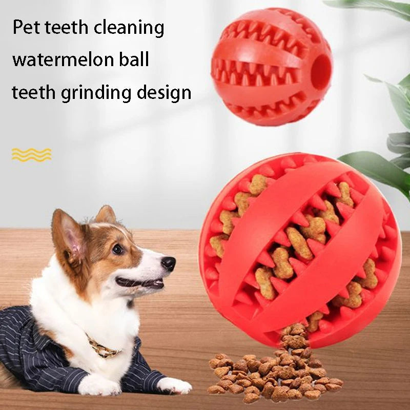 Rubber Pet Dog Toys Dog Chew Toys Petzymart