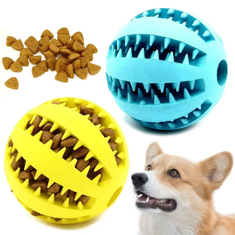 Rubber Pet Dog Toys Dog Chew Toys Petzymart