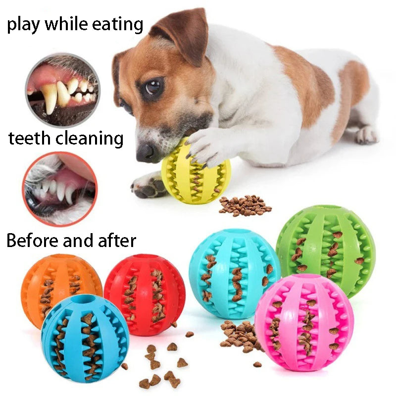 Rubber Pet Dog Toys Dog Chew Toys Petzymart