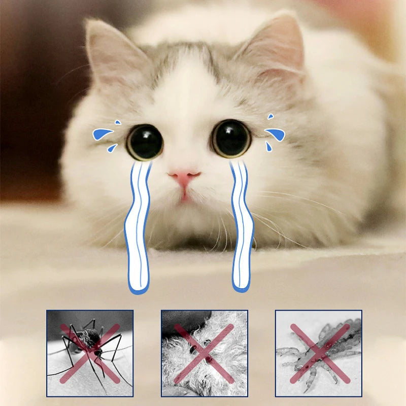 Silicone Anti Flea Tick Pet Collar cats & Dogs Petzymart