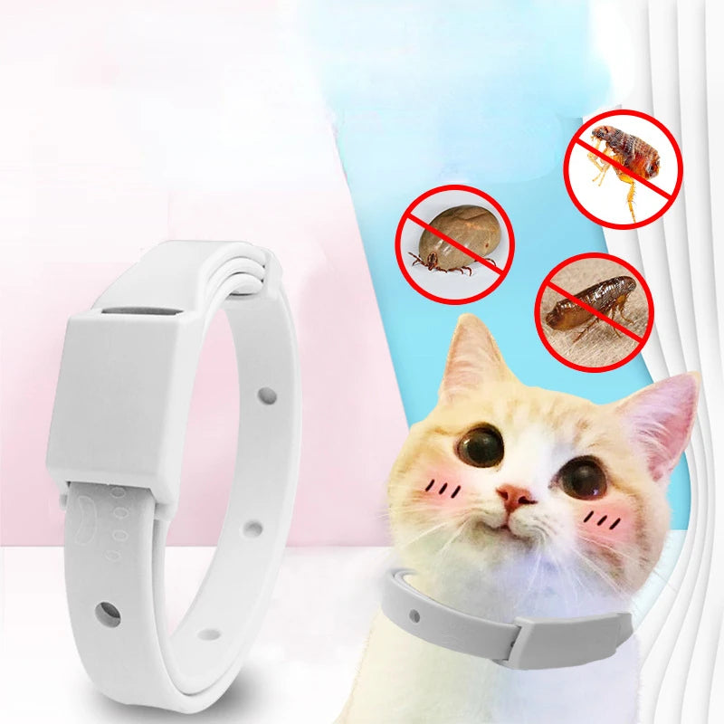 Silicone Anti Flea Tick Pet Collar cats & Dogs Petzymart