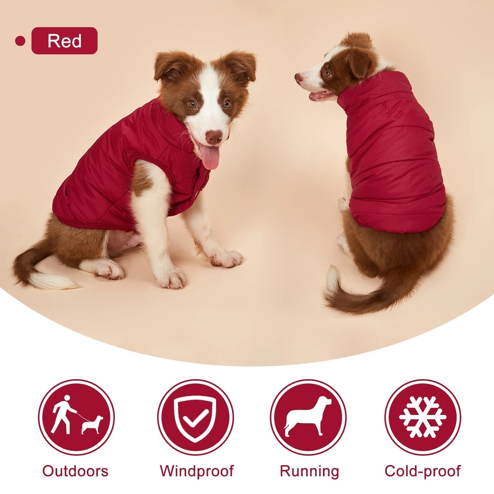 Winter Cold Proof Warm Dog Jacket with Fleece Cotton Lining Petzymart